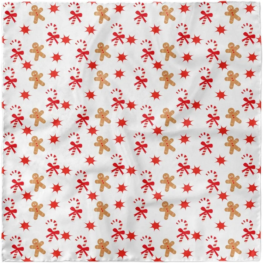Ambesonne Multicolor Head Scarves